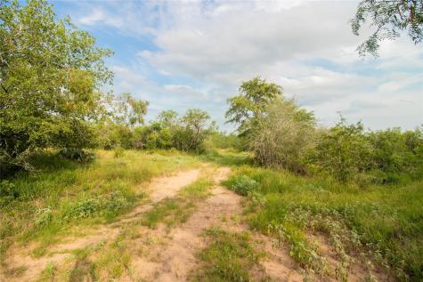 438 Firefly Field Lane Seguin TX 78155