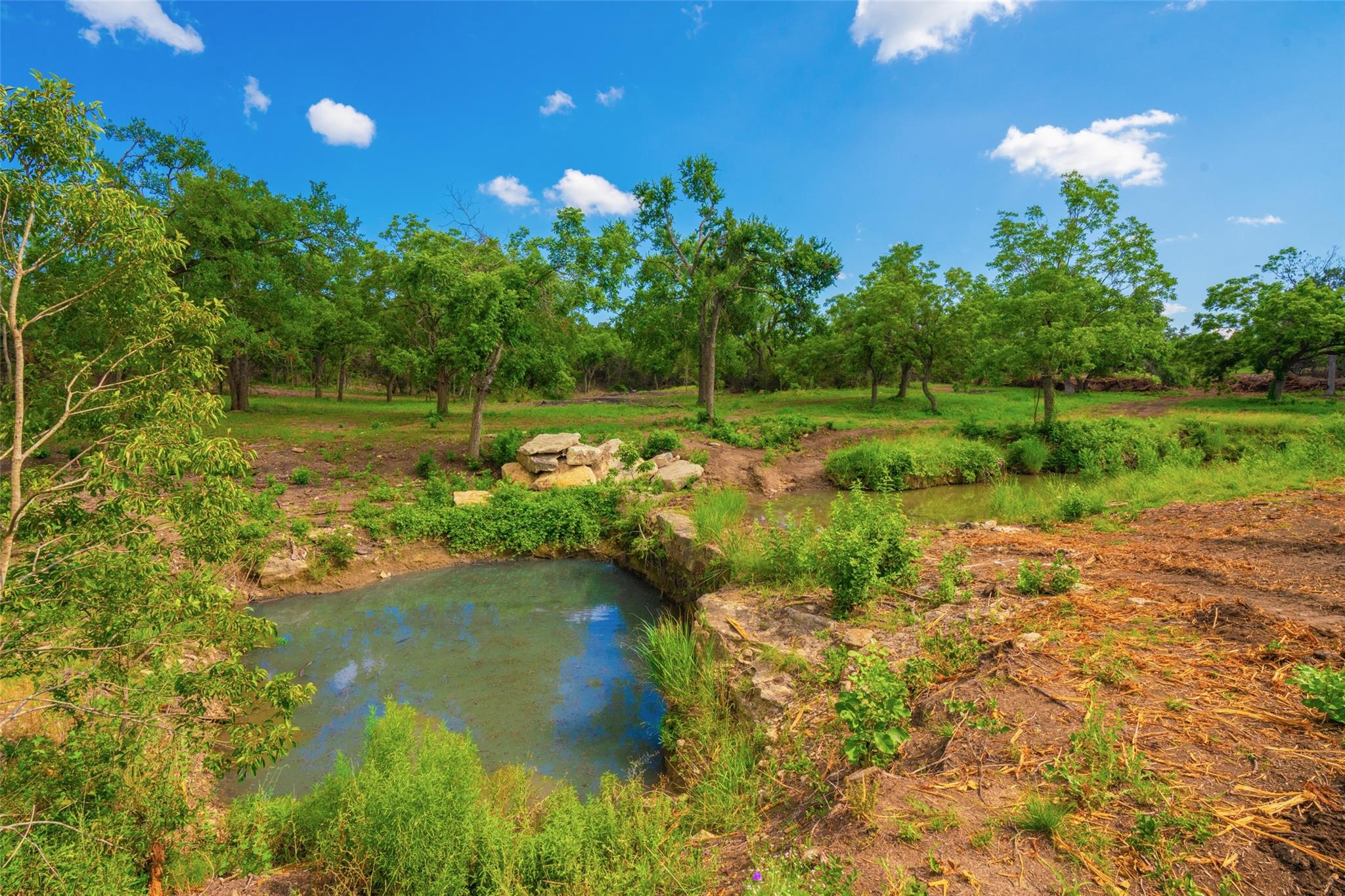 000 Spring Creek Ranch Dripping Springs TX 78676