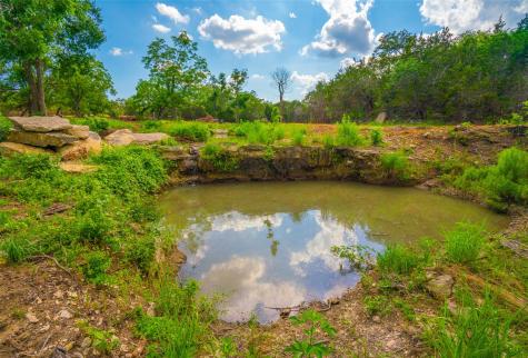 000 Spring Creek Ranch Dripping Springs TX 78676