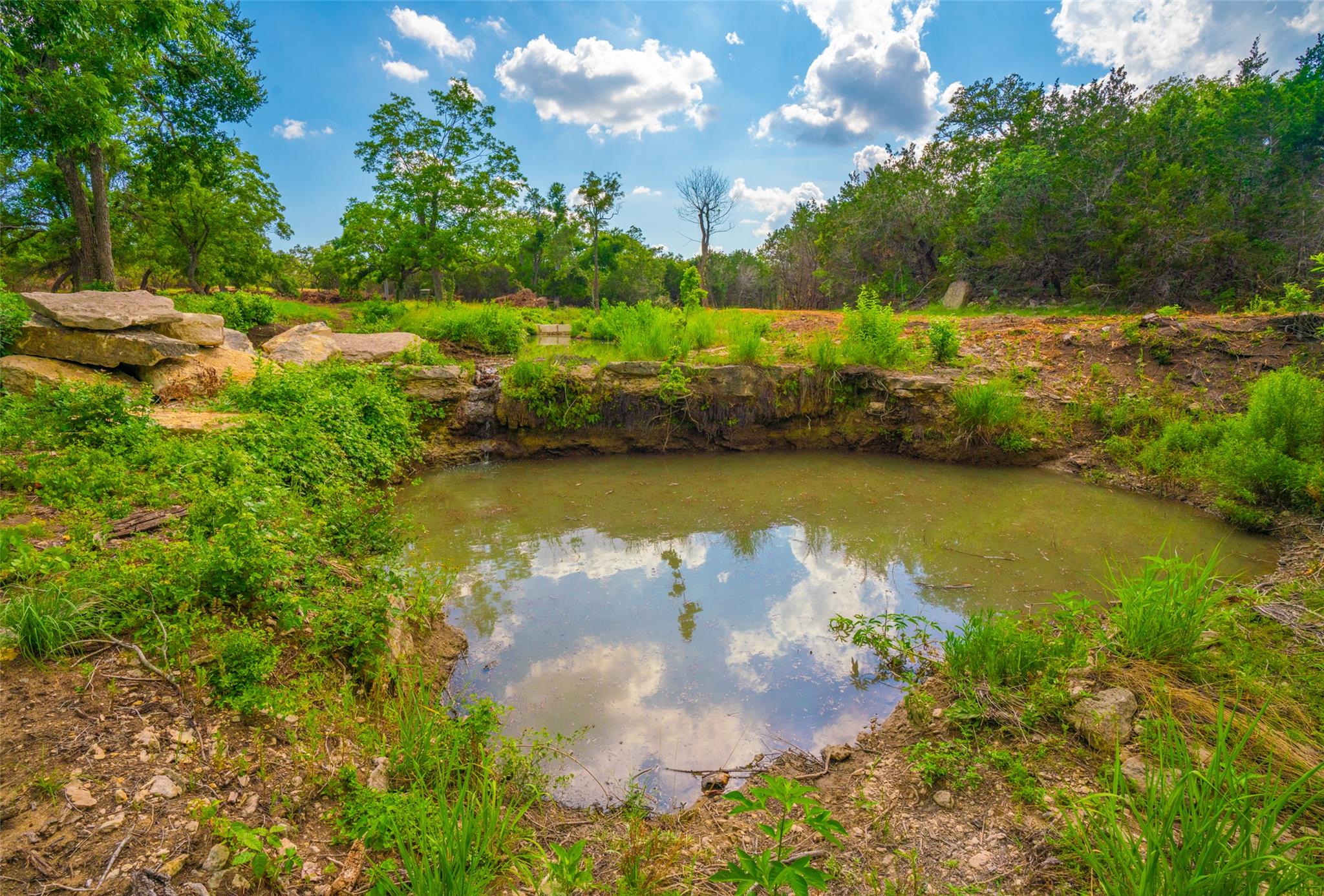 000 Spring Creek Ranch Dripping Springs TX 78676