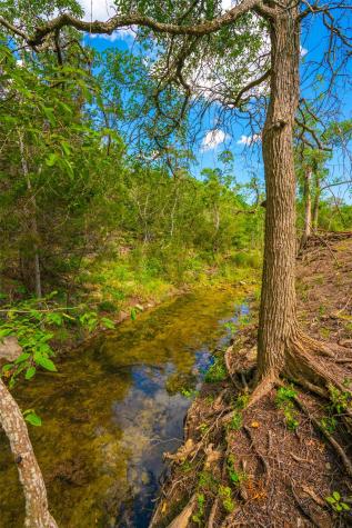 000 Spring Creek Ranch Dripping Springs TX 78676