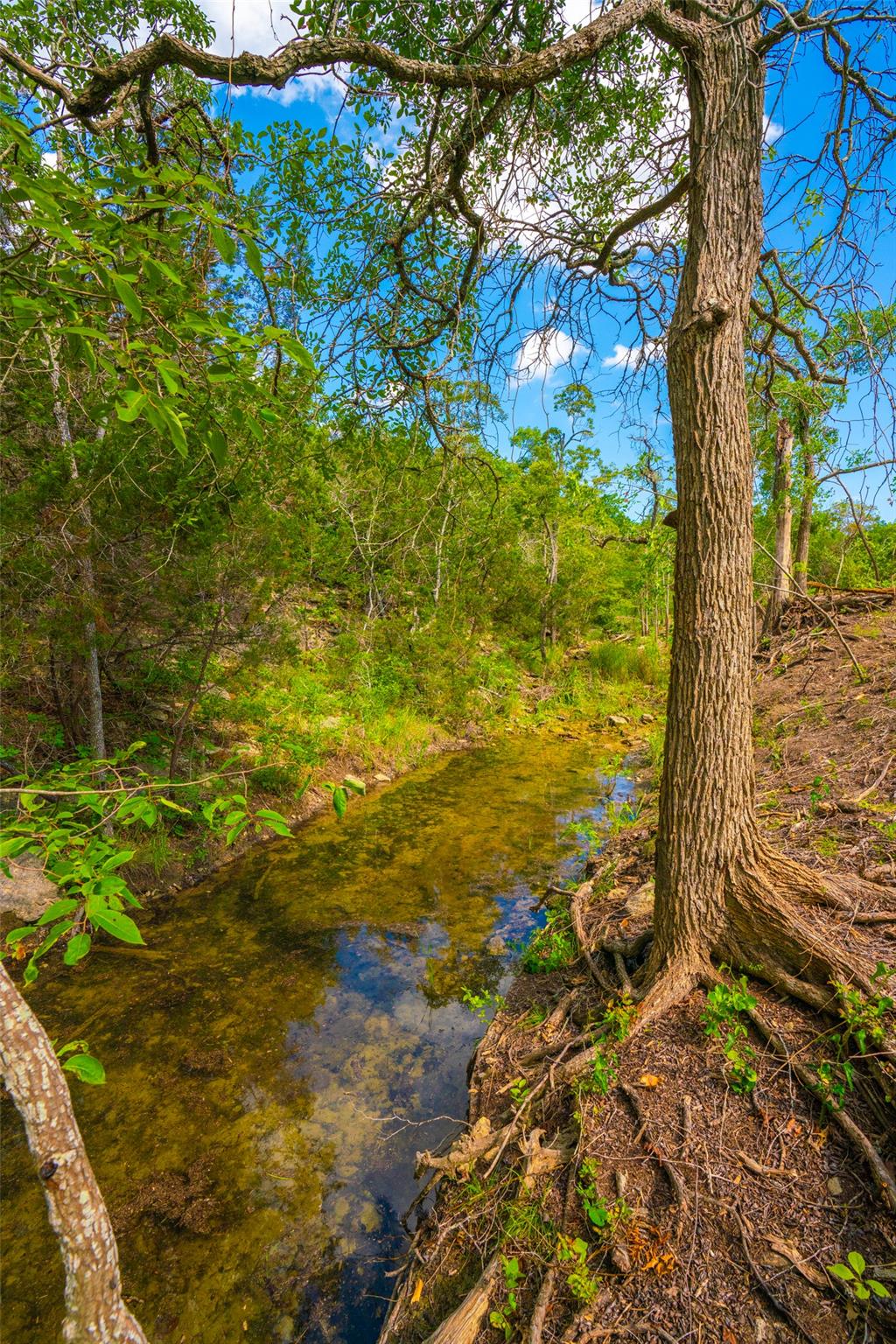 000 Spring Creek Ranch Dripping Springs TX 78676