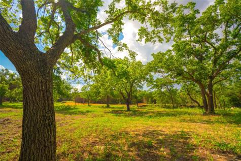 000 Spring Creek Ranch Dripping Springs TX 78676
