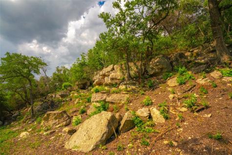 000 Spring Creek Ranch Dripping Springs TX 78676