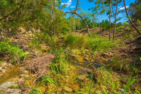 000 Spring Creek Ranch Dripping Springs TX 78676