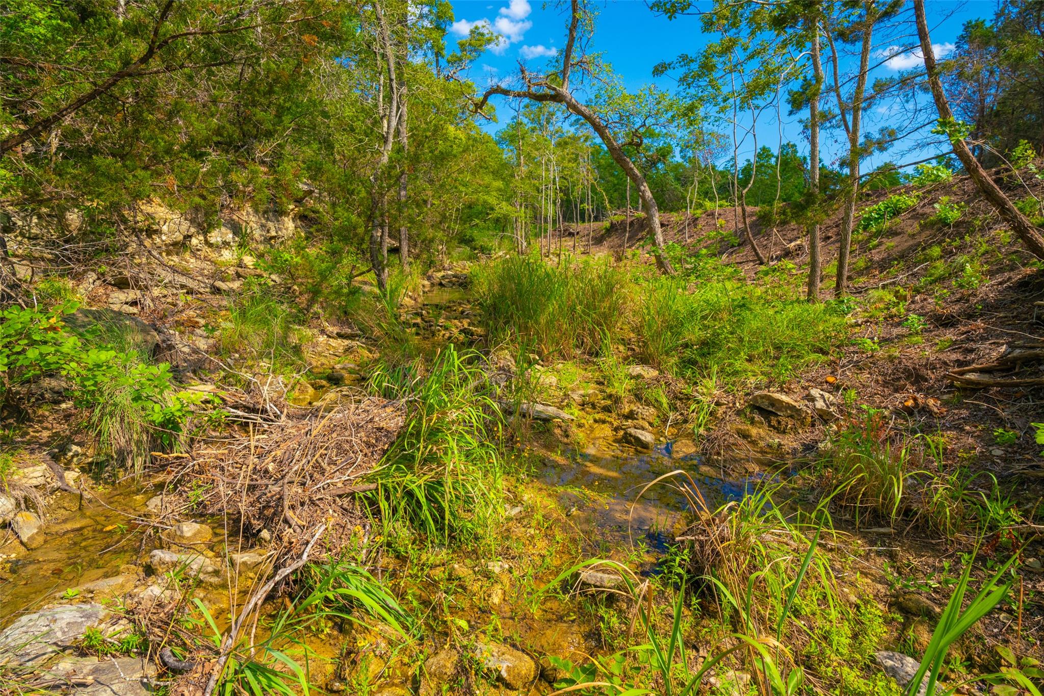 000 Spring Creek Ranch Dripping Springs TX 78676