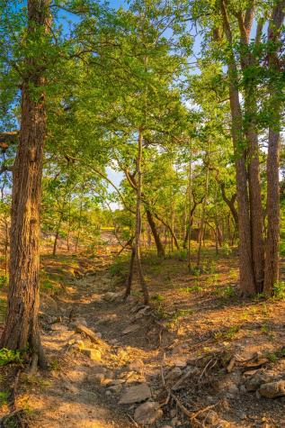 000 Spring Creek Ranch Dripping Springs TX 78676