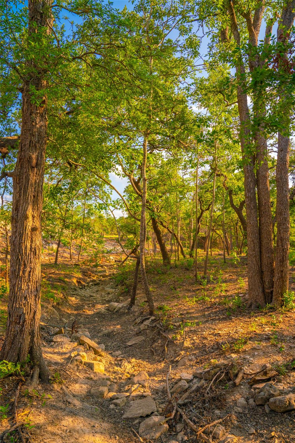 000 Spring Creek Ranch Dripping Springs TX 78676