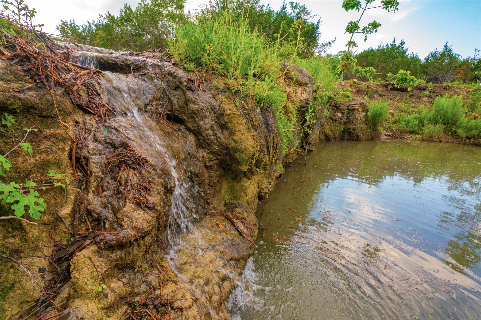 000 Spring Creek Ranch Dripping Springs TX 78676