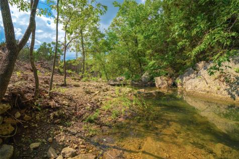 000 Spring Creek Ranch Dripping Springs TX 78676