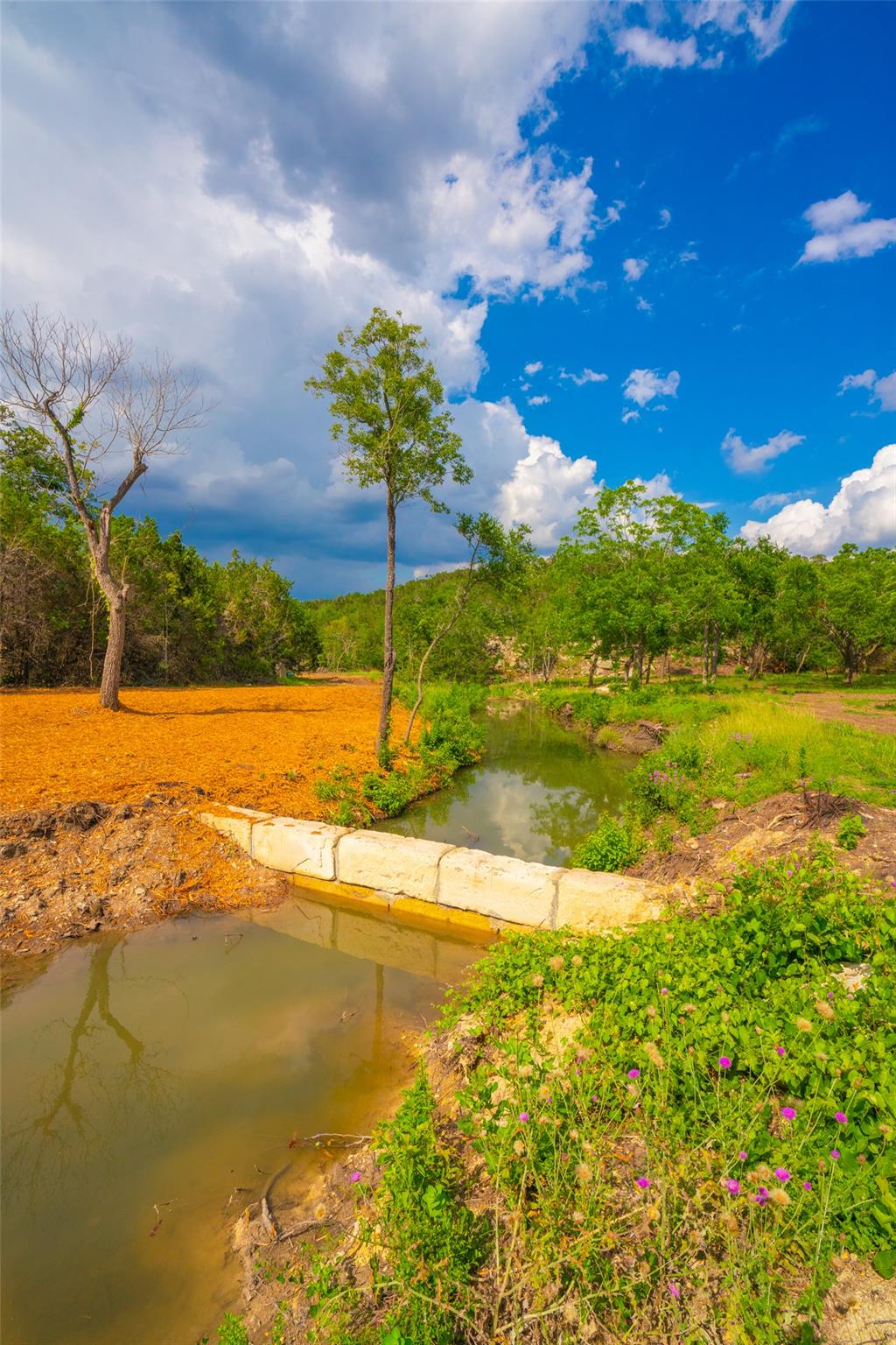 000 Spring Creek Ranch Dripping Springs TX 78676