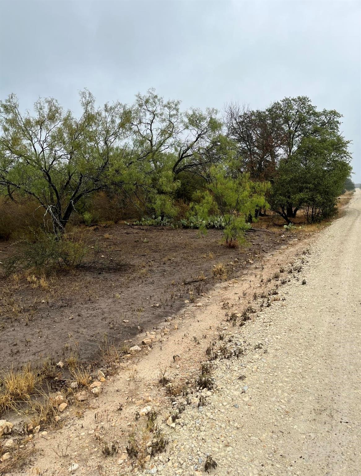 540 State Highway 16 Highway Goldthwaite TX 76844