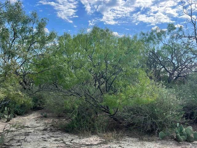 540 State Highway 16 Highway Goldthwaite TX 76844