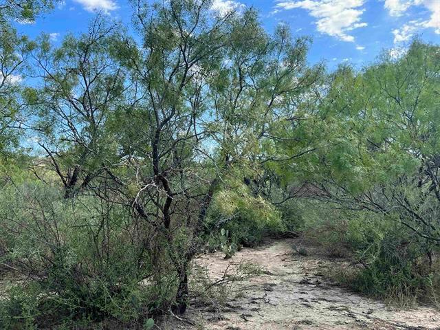540 State Highway 16 Highway Goldthwaite TX 76844