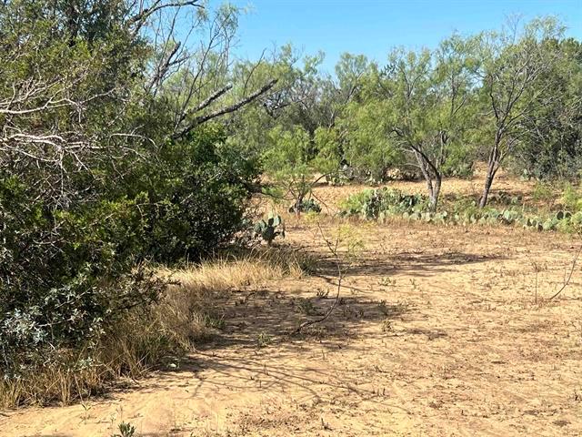 540 State Highway 16 Highway Goldthwaite TX 76844