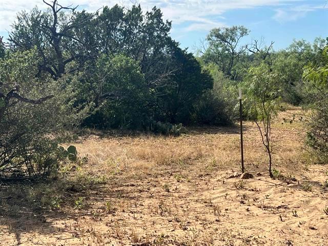 540 State Highway 16 Highway Goldthwaite TX 76844