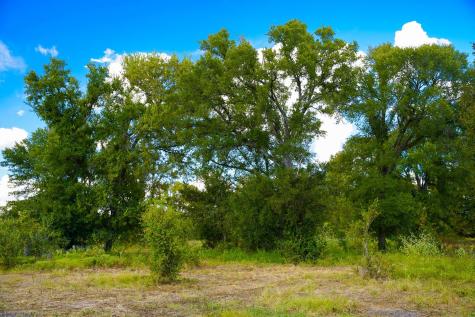 0 Tract 2 Cr 470 Center Coupland TX 78615
