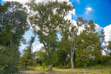 0 Tract 2 Cr 470 Center Coupland TX 78615