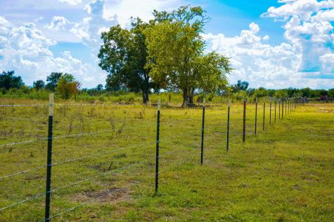 0 Tract 2 Cr 470 Center Coupland TX 78615