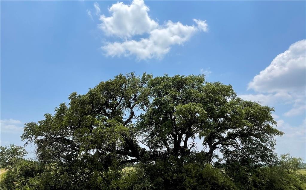 0 377 S. Highway Brownwood TX 76827