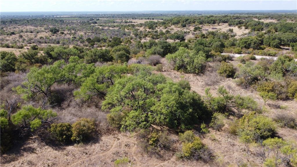 0 377 S. Highway Brownwood TX 76827