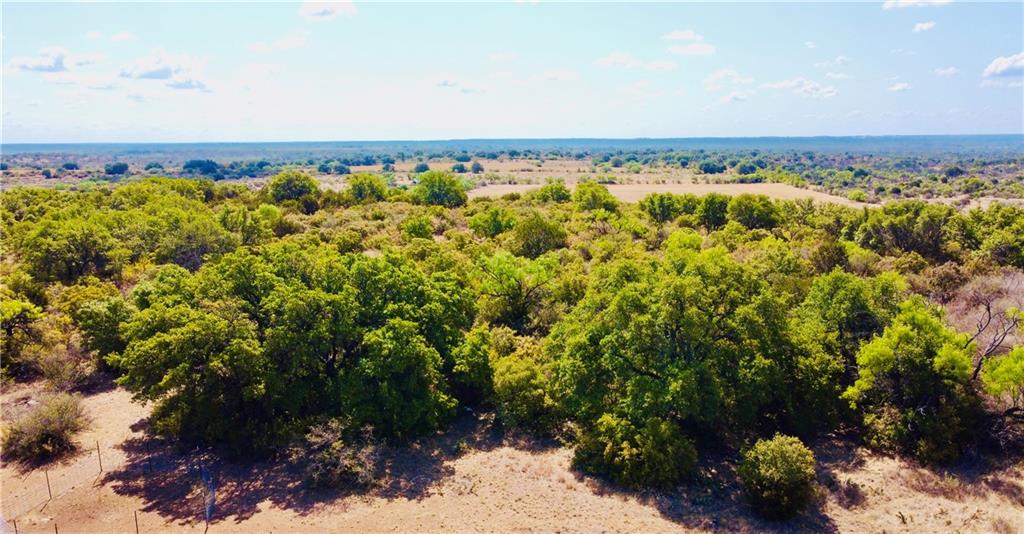 0 377 S. Highway Brownwood TX 76827