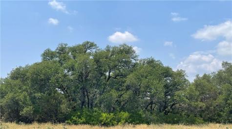 0 377 S. Highway Brownwood TX 76827