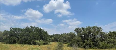 0 377 S. Highway Brownwood TX 76827
