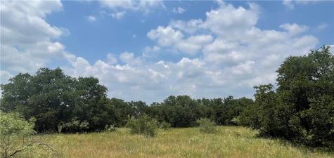 0 377 S. Highway Brownwood TX 76827