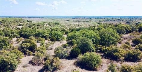 0 377 S. Highway Brownwood TX 76827