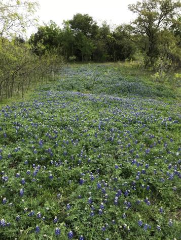 15501 Goforth Road Buda TX 78610