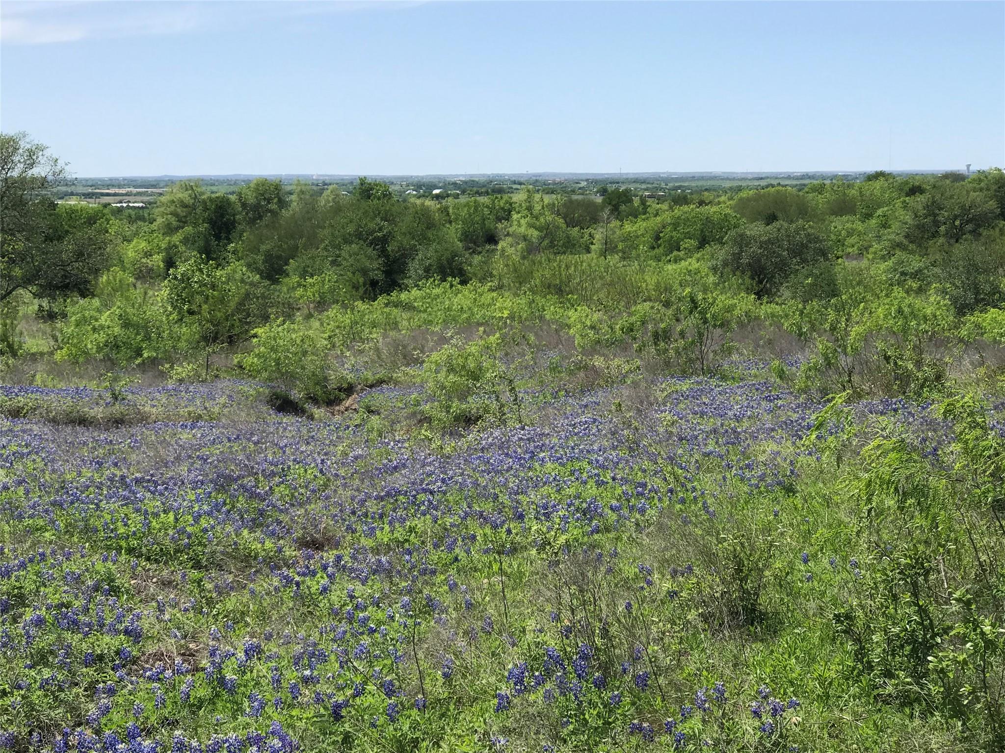 15501 Goforth Road Buda TX 78610