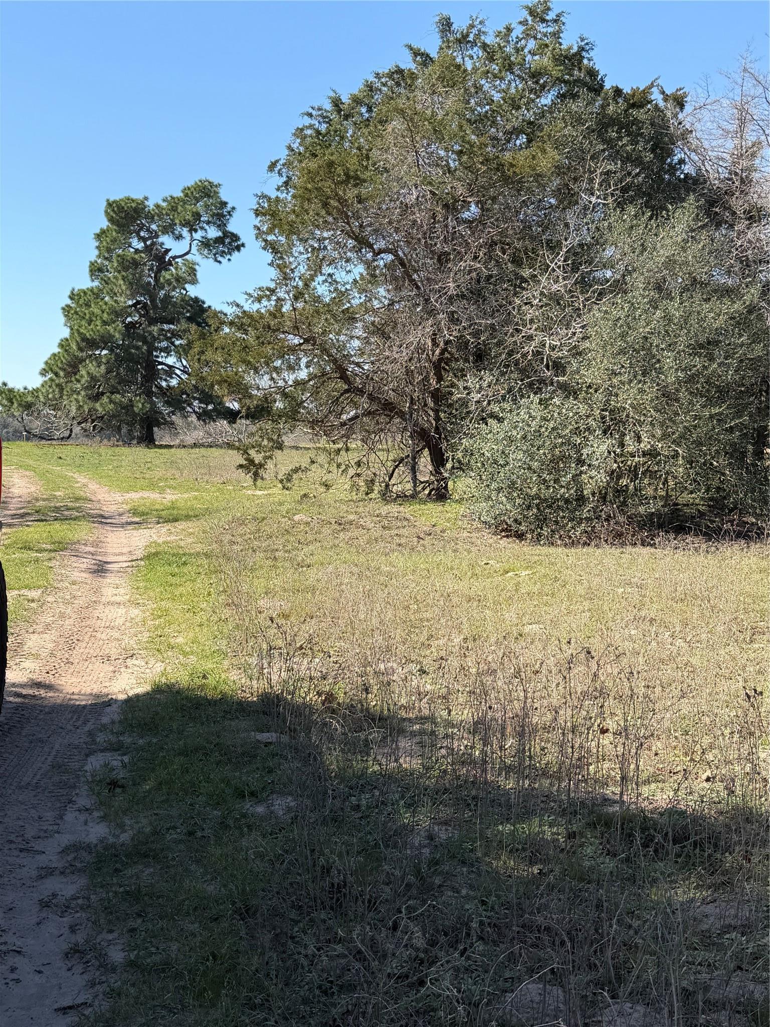 Tbd Cedar Rock Road Rosanky TX 78953