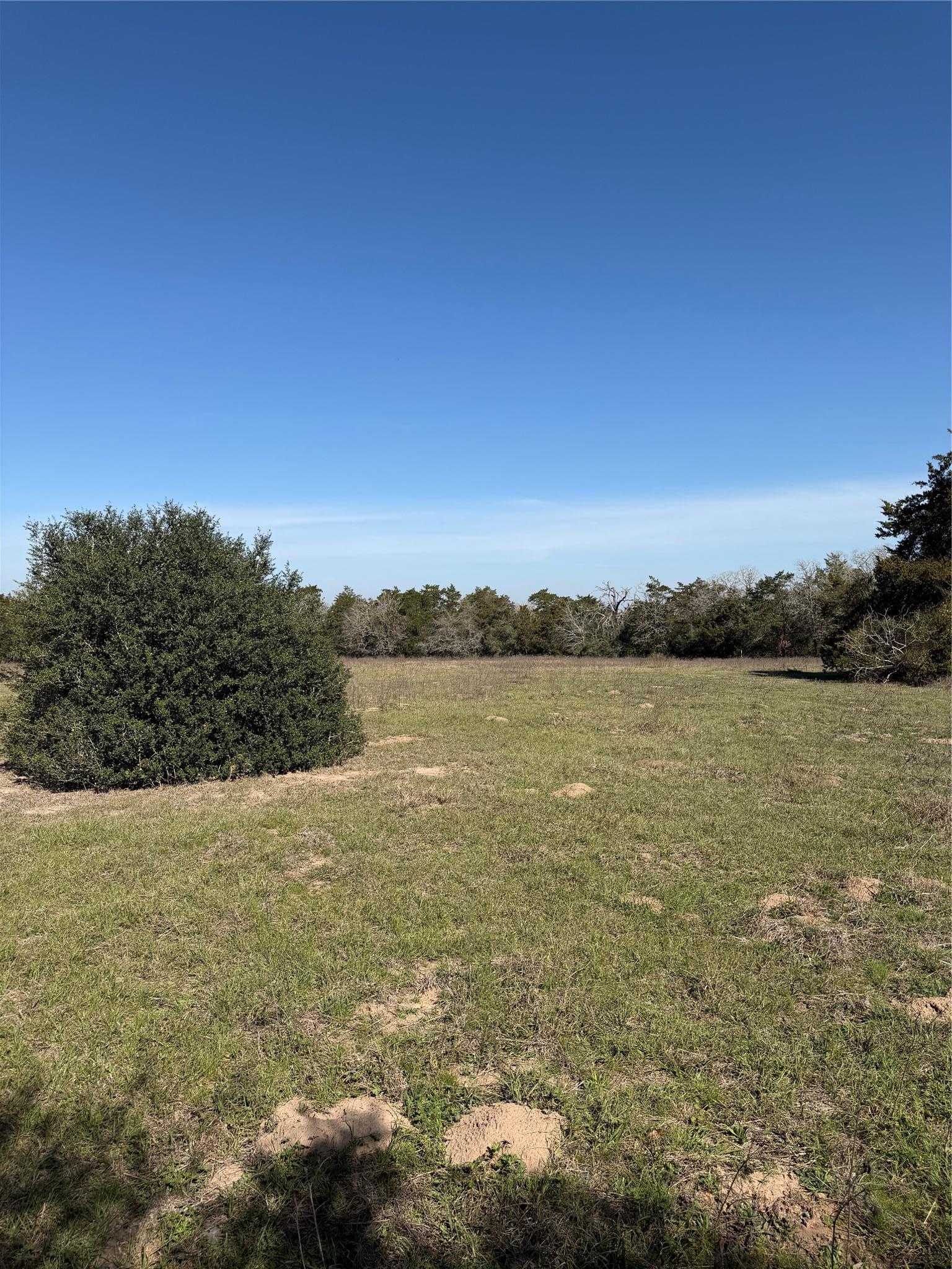 Tbd Cedar Rock Road Rosanky TX 78953