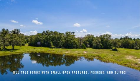 Tbd County Road 405 (+/- 839 Acres) Lexington TX 78947