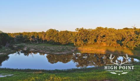 Tbd County Road 405 (+/- 839 Acres) Lexington TX 78947