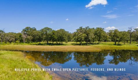 Tbd County Road 405 (+/- 839 Acres) Lexington TX 78947