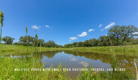 Tbd County Road 405 (+/- 839 Acres) Lexington TX 78947