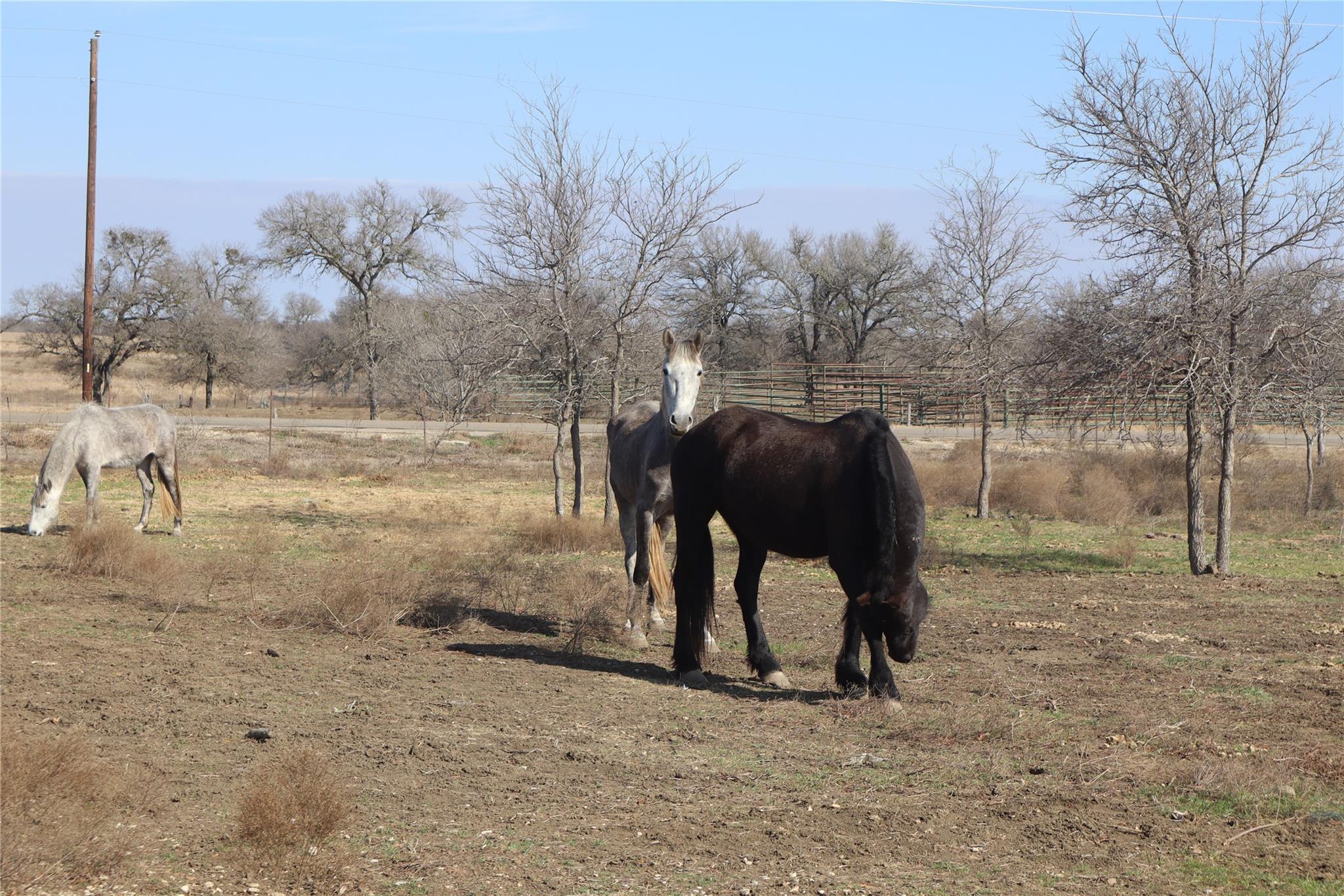 2690 County Road 466 Elgin TX 78621