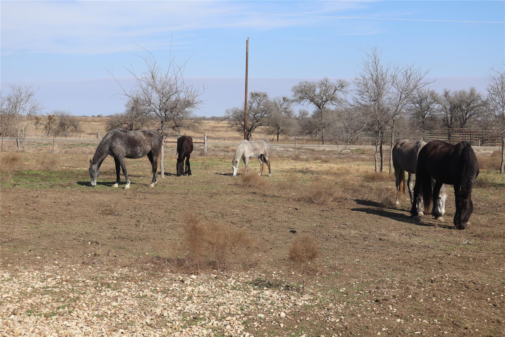 2690 County Road 466 Elgin TX 78621