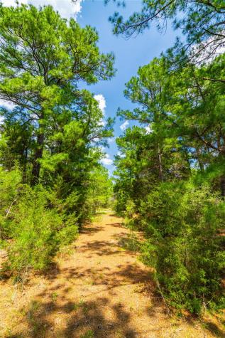 677 Old Antioch Road Smithville TX 78957