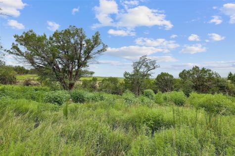 1500 County Road 279 Liberty Hill TX 78642