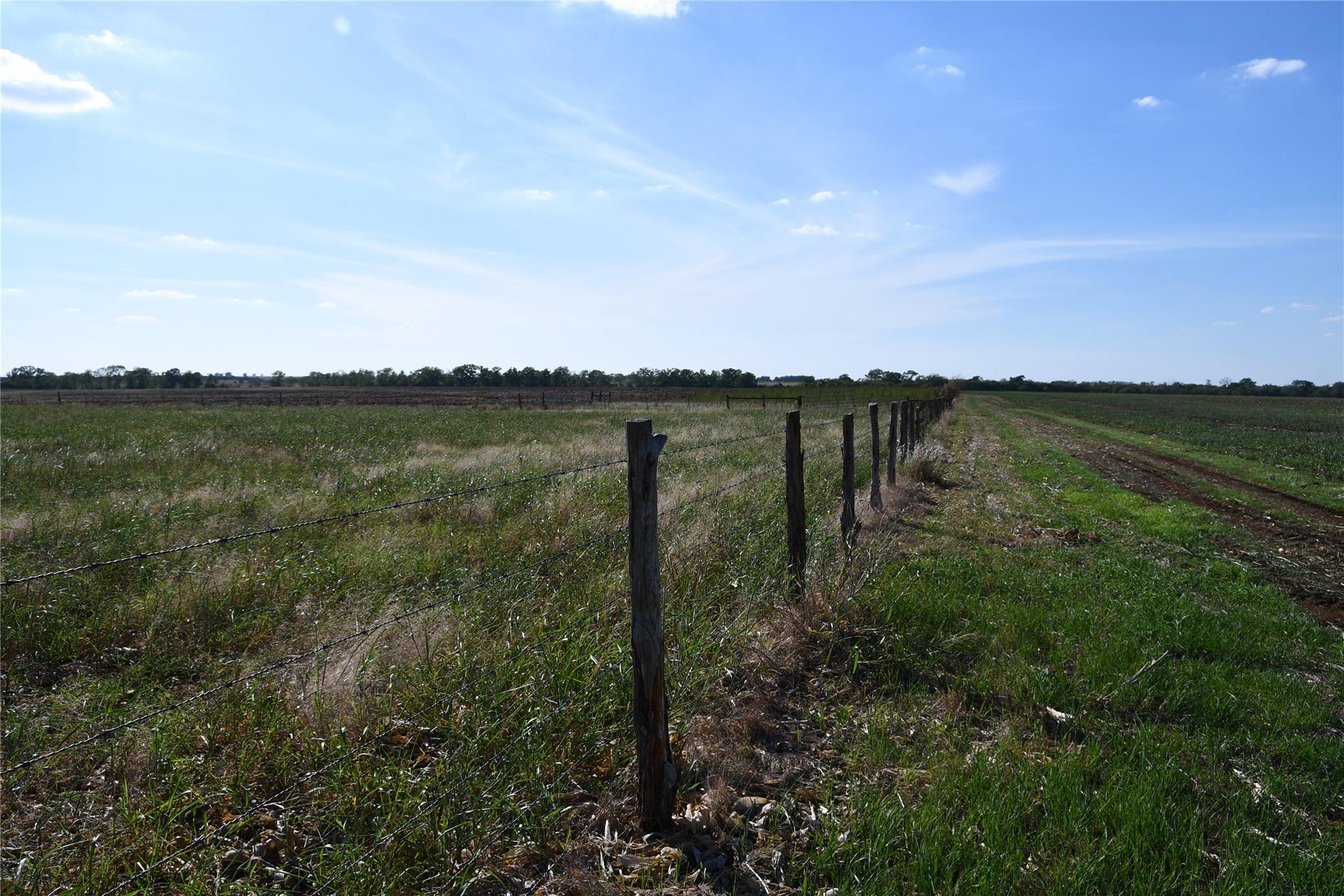 Tbd 000 County Road 269 Oglesby TX 76561