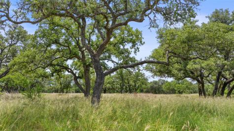 997 Sandy Oaks Ranch Road Johnson City TX 78636