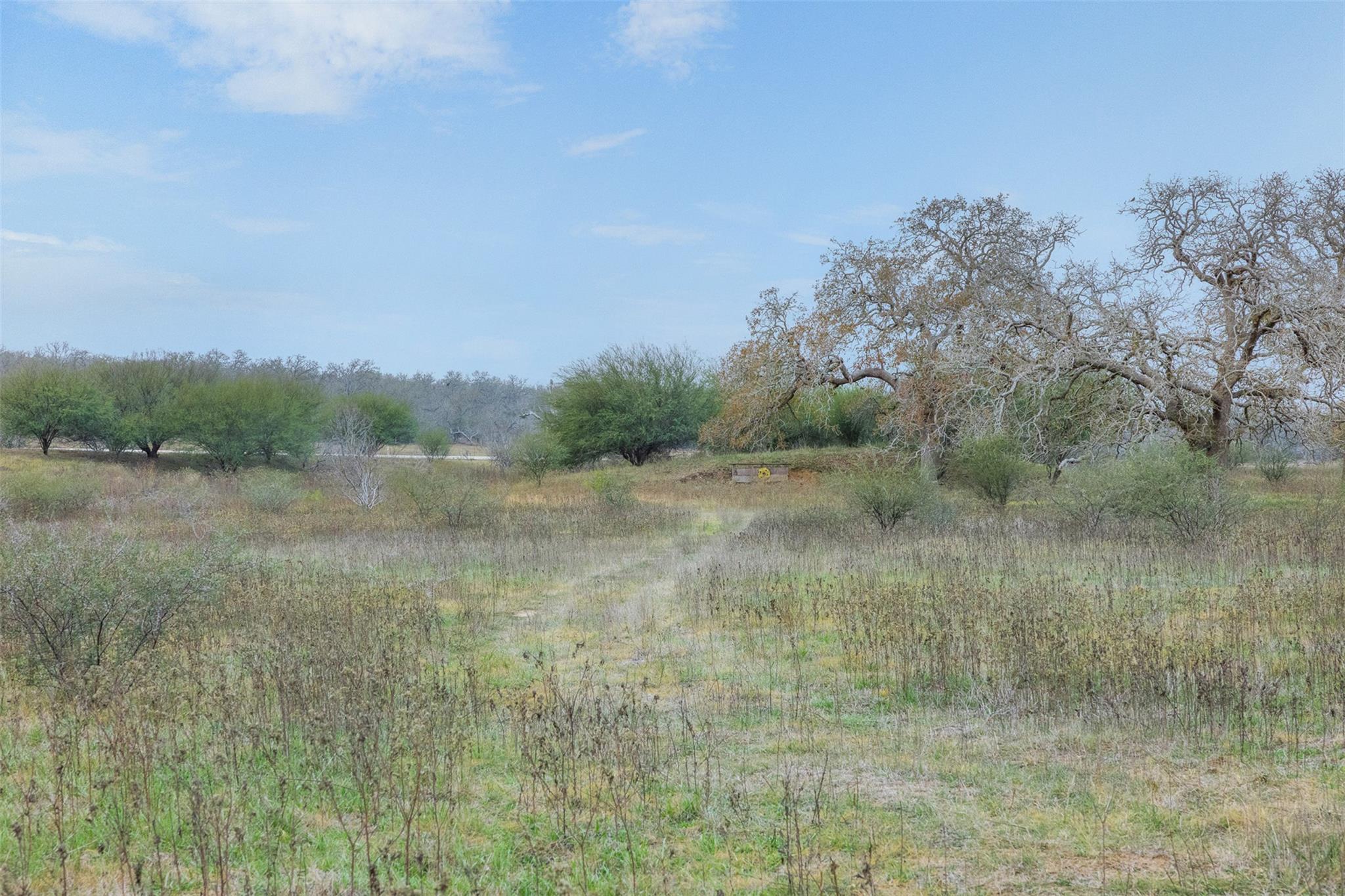 4025 County Road 284 Harwood TX 78632