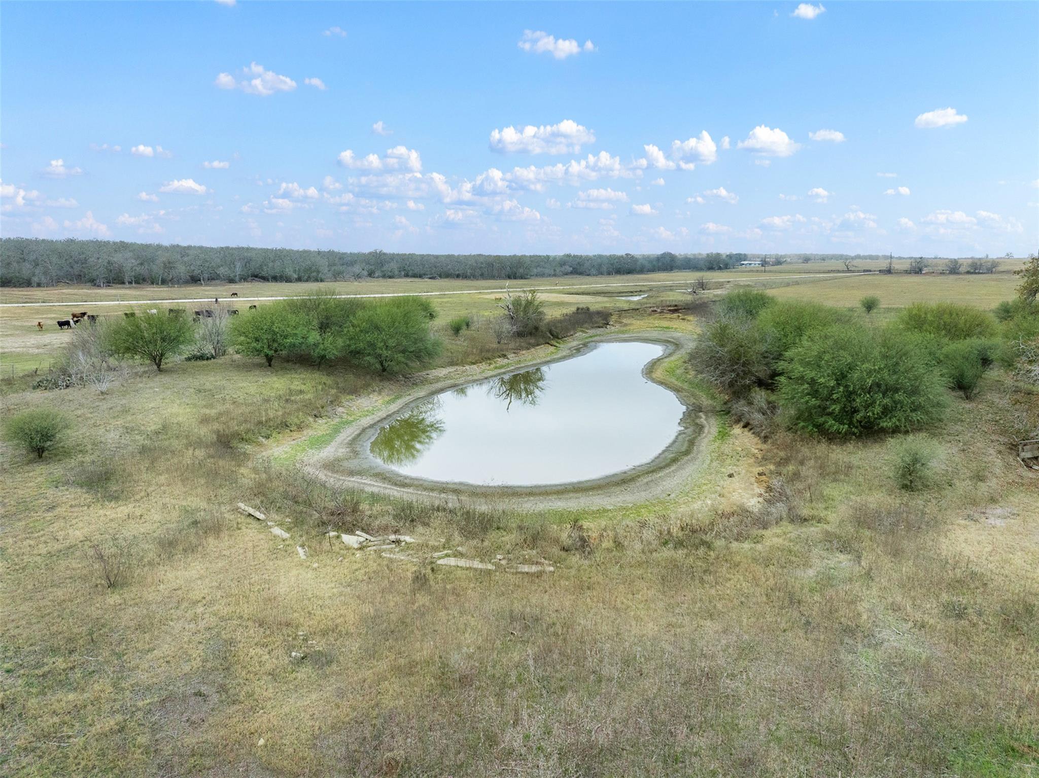 4025 County Road 284 Harwood TX 78632