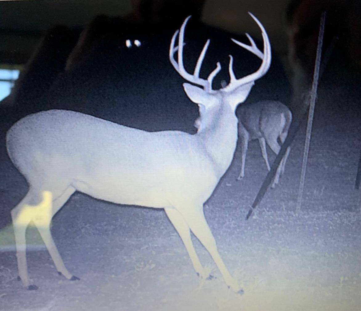 4025 County Road 284 Harwood TX 78632