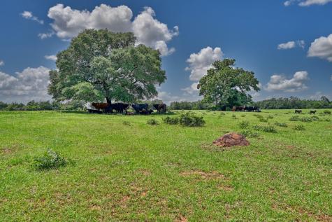 1368 County Road 207 Giddings TX 78942