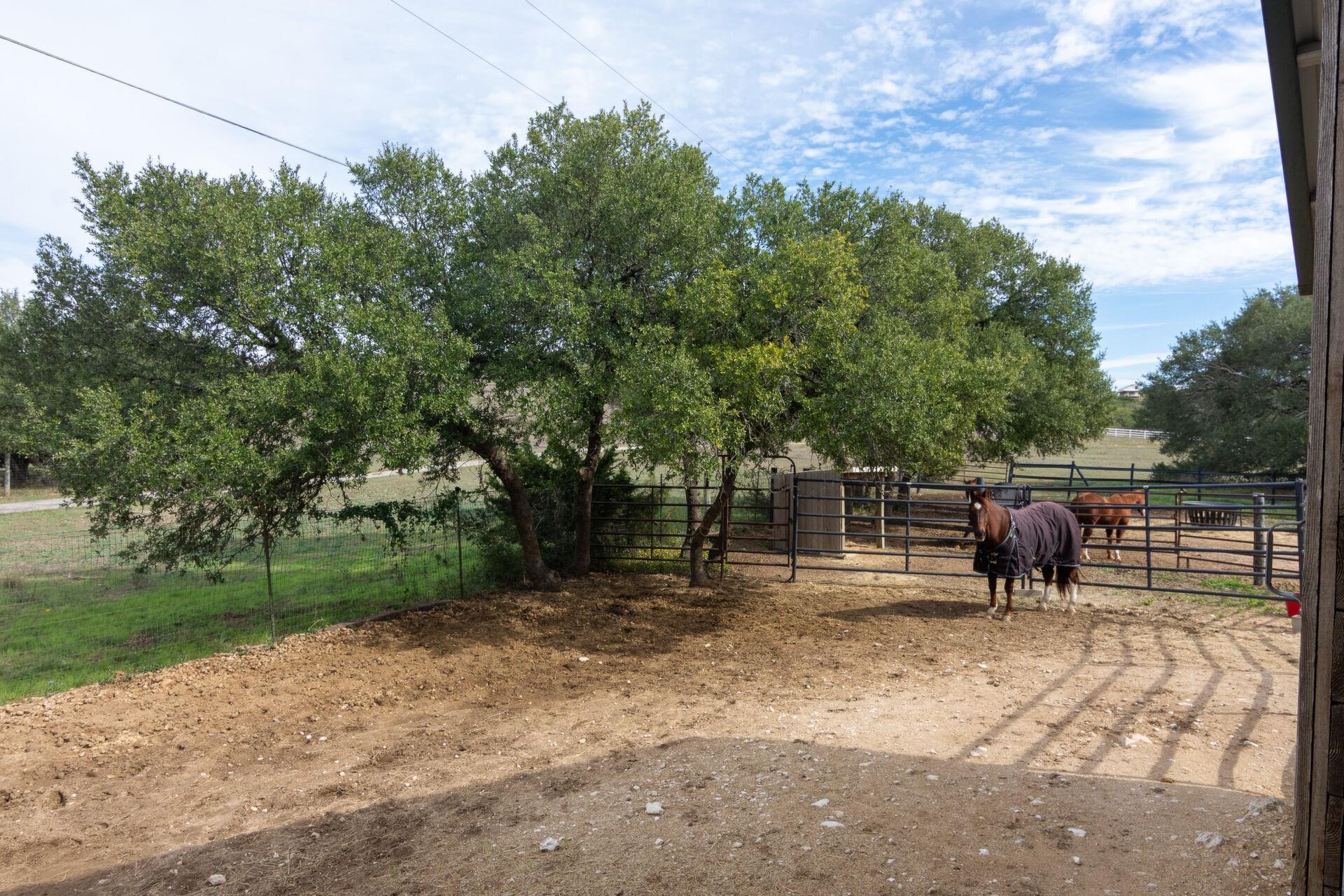 550 Hays Country Acres Road Dripping Springs TX 78620