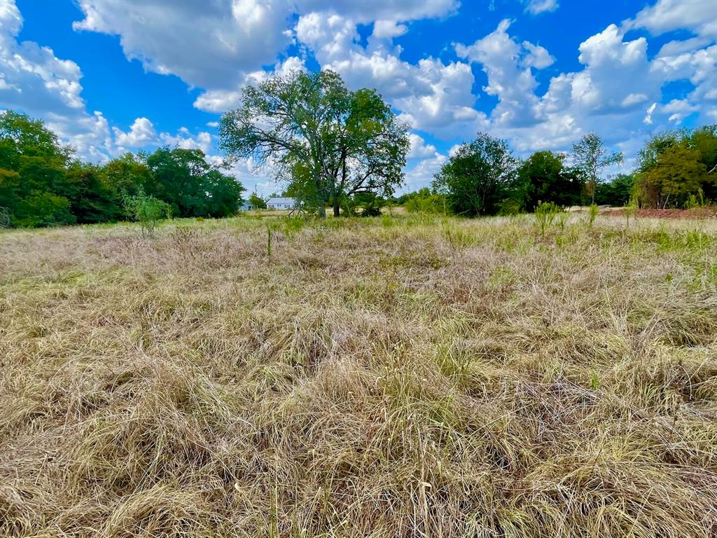 281 E Fm 979 Franklin TX 77856